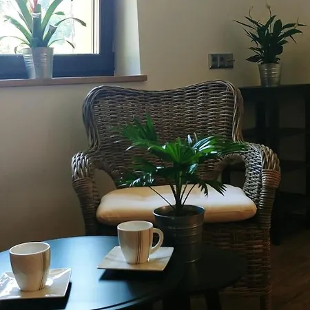 Przy Dolinie Paczoltowice