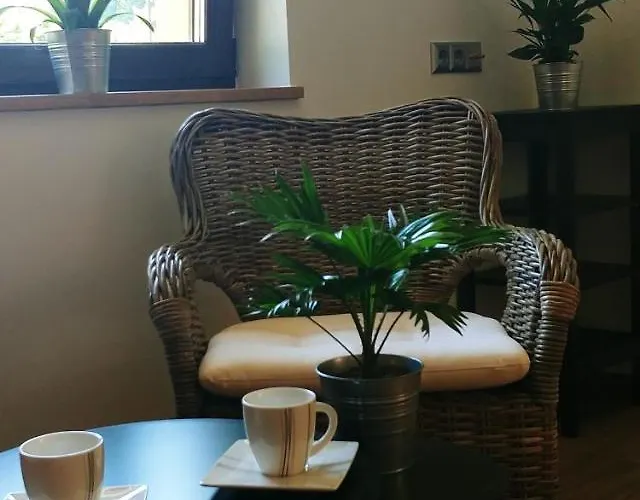 Przy Dolinie Paczoltowice